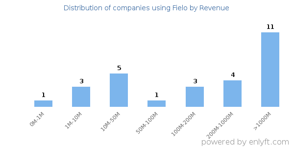 Fielo clients - distribution by company revenue