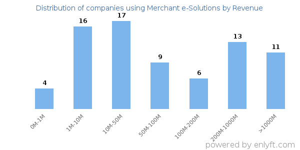 Merchant e-Solutions clients - distribution by company revenue