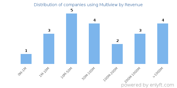 Multiview clients - distribution by company revenue