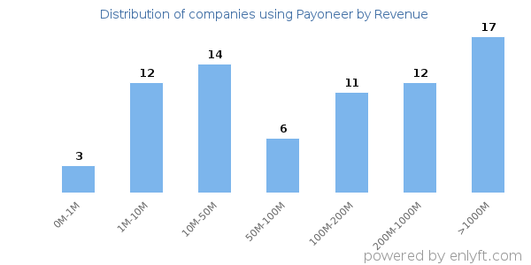 Payoneer clients - distribution by company revenue