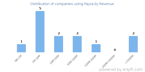 Payza clients - distribution by company revenue