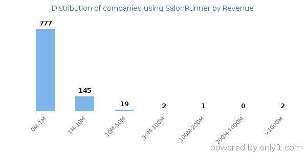 SalonRunner clients - distribution by company revenue