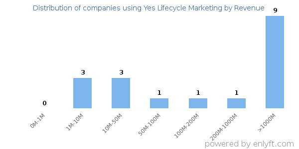 Yes Lifecycle Marketing clients - distribution by company revenue