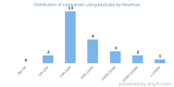 bluQube clients - distribution by company revenue