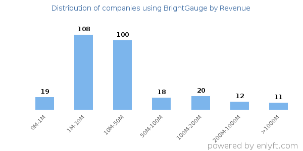 BrightGauge clients - distribution by company revenue