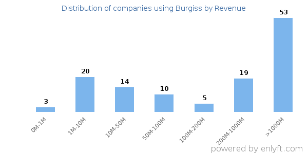 Burgiss clients - distribution by company revenue
