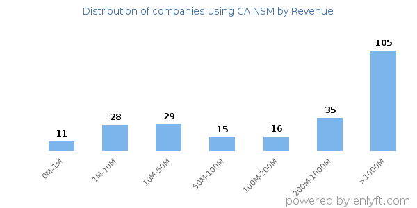 CA NSM clients - distribution by company revenue