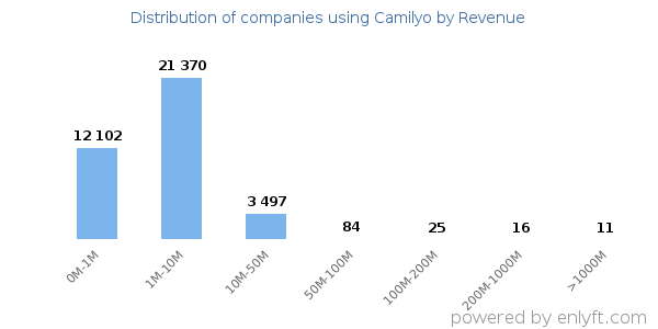 Camilyo clients - distribution by company revenue