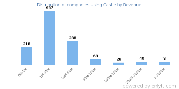 Castle clients - distribution by company revenue