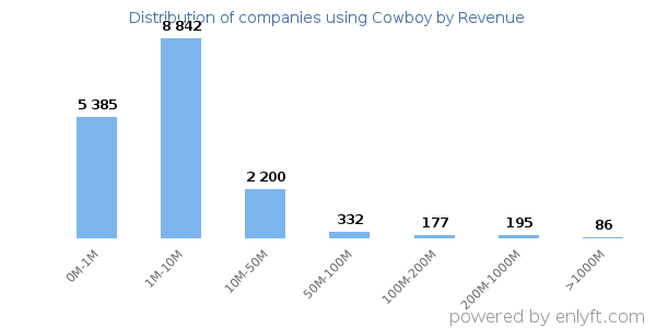Cowboy clients - distribution by company revenue