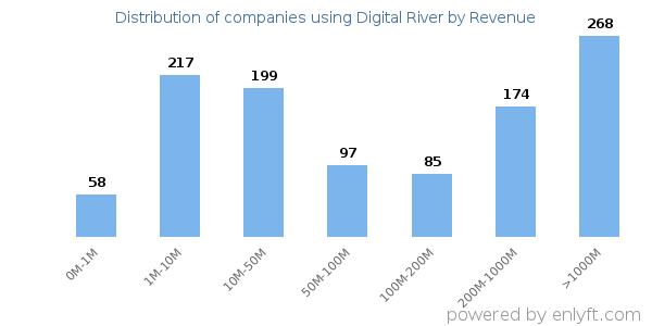 Digital River clients - distribution by company revenue