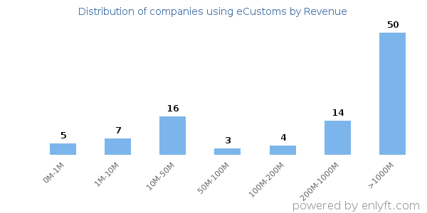 eCustoms clients - distribution by company revenue