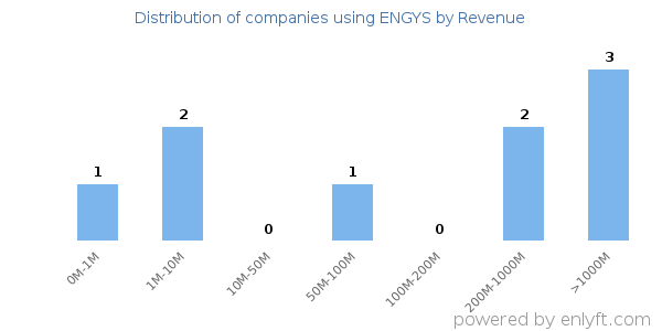ENGYS clients - distribution by company revenue