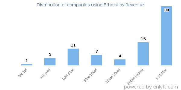 Ethoca clients - distribution by company revenue