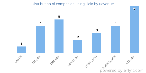 Fielo clients - distribution by company revenue