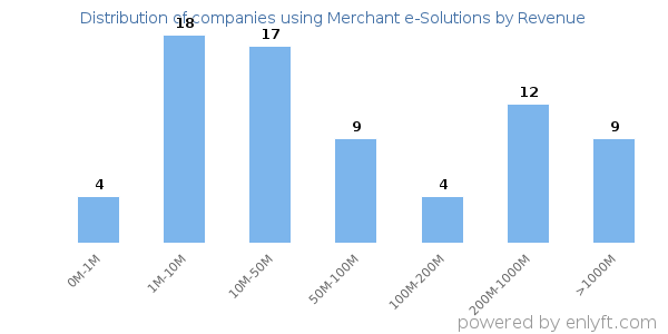 Merchant e-Solutions clients - distribution by company revenue