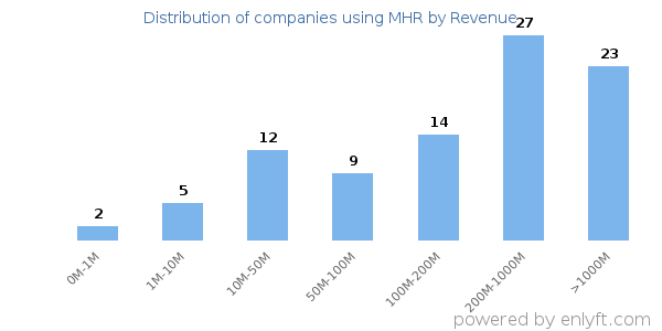 MHR clients - distribution by company revenue