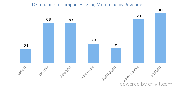 Micromine clients - distribution by company revenue