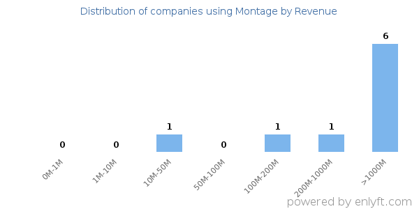 Montage clients - distribution by company revenue