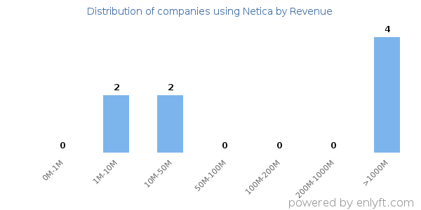 Netica clients - distribution by company revenue