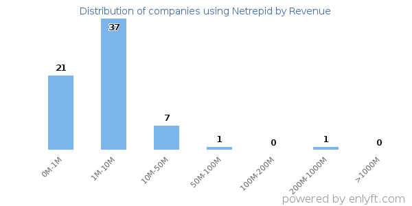 Netrepid clients - distribution by company revenue