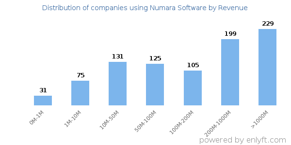 Numara Software clients - distribution by company revenue