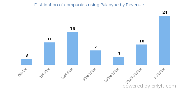 Paladyne clients - distribution by company revenue