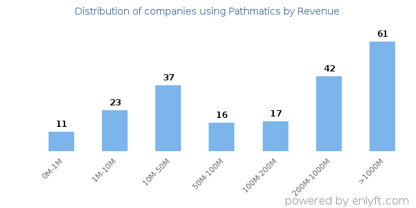 Pathmatics clients - distribution by company revenue
