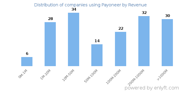 Payoneer clients - distribution by company revenue