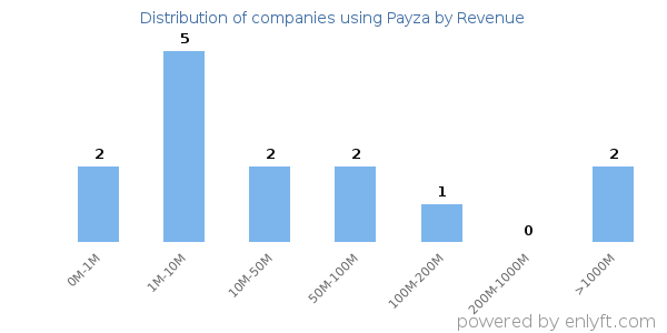Payza clients - distribution by company revenue