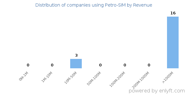 Petro-SIM clients - distribution by company revenue