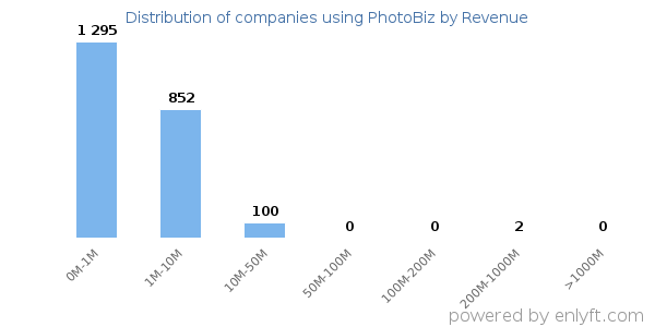 PhotoBiz clients - distribution by company revenue