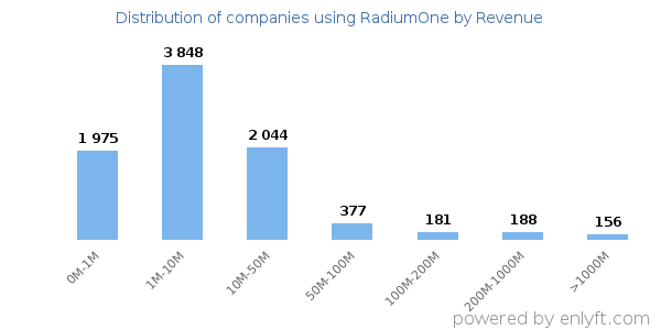 RadiumOne clients - distribution by company revenue