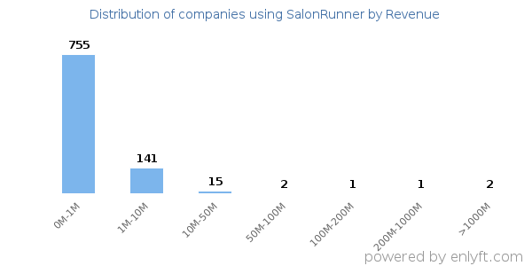 SalonRunner clients - distribution by company revenue