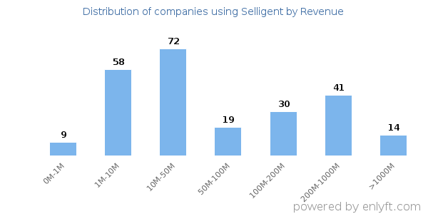 Selligent clients - distribution by company revenue