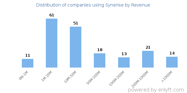 Synerise clients - distribution by company revenue