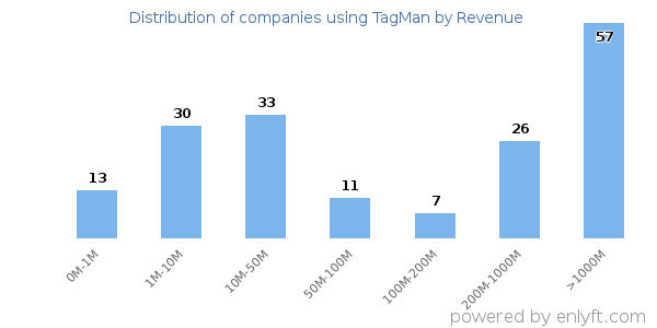 TagMan clients - distribution by company revenue