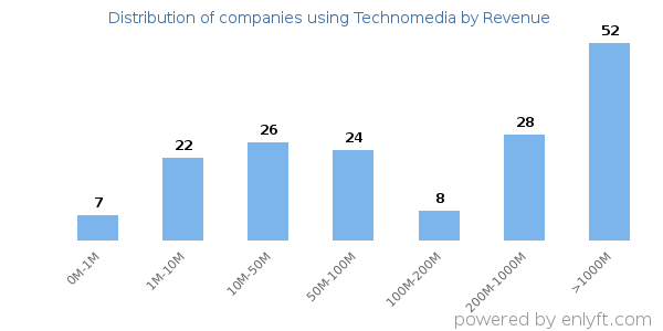 Technomedia clients - distribution by company revenue