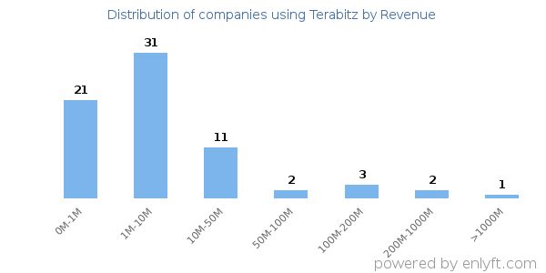 Terabitz clients - distribution by company revenue