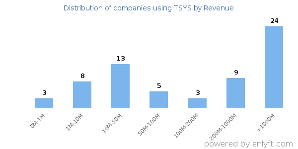 TSYS clients - distribution by company revenue