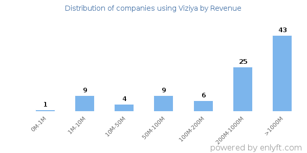 Viziya clients - distribution by company revenue