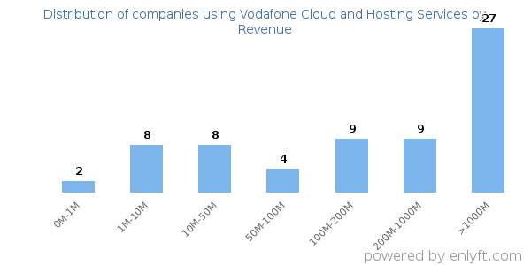 Vodafone Cloud and Hosting Services clients - distribution by company revenue