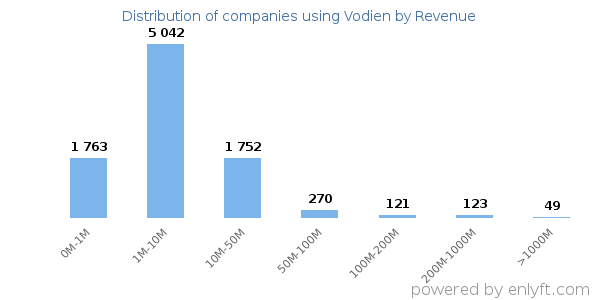 Vodien clients - distribution by company revenue