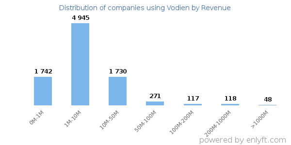 Vodien clients - distribution by company revenue